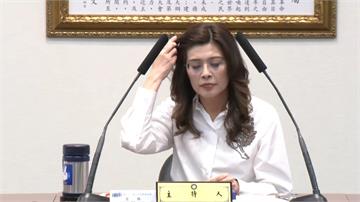 戴恩斯未直接會面鄭麗文！ 本人證實：見的是幕僚不...
