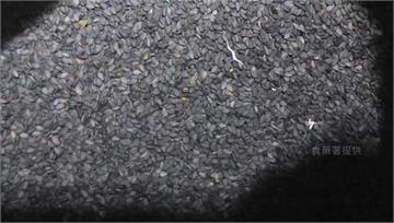 來台開業米其林名店「佳佳甜品」出包！ 進口中國黑...