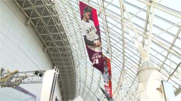 東京巨蛋球星旗幟沒有中華隊？網友解惑：皆為大聯盟...