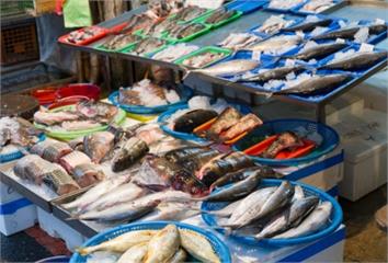 如何正確清洗生鮮魚肉？生鮮專家提醒：生鮮魚肉受污...