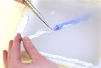 國健署推出醫療性凍卵補助　專家：35歲前凍卵成功...