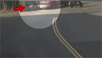 黃子佼發聲了！強調專心開車不知撞倒人 「並非知情...