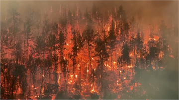 加州週末野火肆虐 已燒毀逾「8成台北市」面積