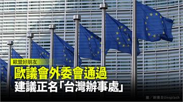 歐洲議會外委會壓倒性通過　建議正名「台灣辦事處」