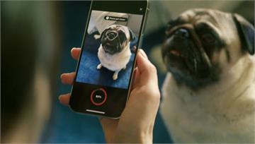 南韓新創推寵物App　掃描狗鼻子秒認主人