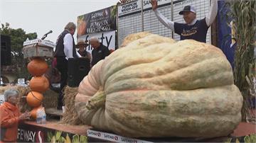 1顆重達1161公斤！ 巨大「南瓜王」破全美紀錄