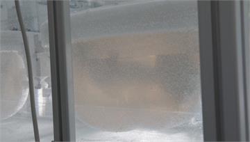 提高存活率！荷蘭團隊研發「人造子宮」 將成早產兒...