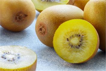 金黃奇異果比綠奇異果升糖更快？營養師解答  很多...