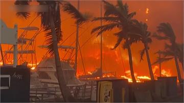 奪逾百條人命！ 夏威夷毛伊島野火恐「未斷電」釀禍