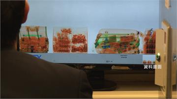 帶止咳藥赴韓國旅遊遭海關擋下！醫師曝解方