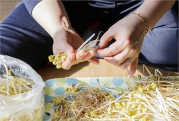 豆芽菜放沒兩天就爛？專家授「保存祕技」更耐放  ...