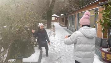 寒流發威！太平山、拉拉山降雪囉 美景宛如明信片