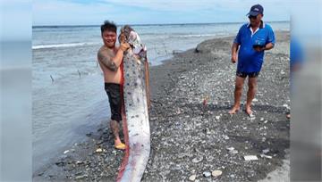 釣客纏鬥逾40分鐘 6米、130公斤「地震魚」首...