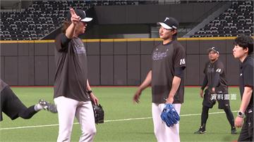 WBC／MLB官網列出奪冠排名 看好中華隊「闖8...