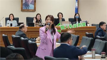 批僑委會考察報告玩文字遊戲 徐巧芯酸：不如寫「夭壽讚」