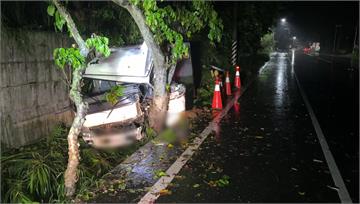 台9線車輛偏移撞路樹 駕駛拋飛傷勢嚴重