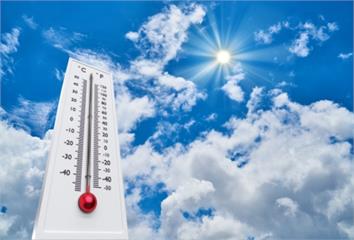清涼一夏！4款簡易涼補食療 降火解熱又養生