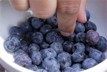 藍莓「這樣吃」營養價值最高   正在吃這1種藥要...
