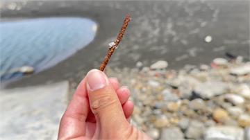 血濺沙灘！ 台中大安海水浴場布滿鐵釘