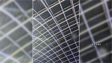 台北市下大雨「大巨蛋漏水」 歌迷淋雨聽五月天.....