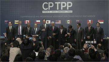 今年是台灣申請加入CPTPP「關鍵年」　會員採共...