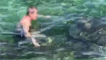 惡劣！小琉球遊客摸坐海龜　目擊者怒斥