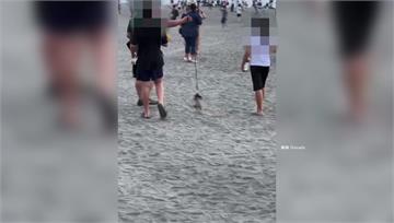 虐待動物？ 男沙灘遛寵物狐獴「勒頸懸空中」