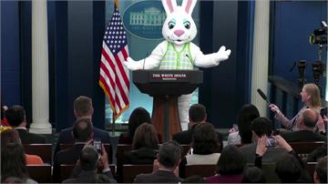 白宮復活節招牌邦尼兔 跳進新聞簡報室