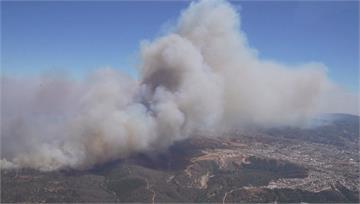智利森林大火延燒4.3萬公頃 釀46死、2百多人...
