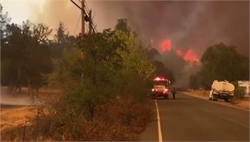 女子生火稱「想淨化熊尿喝」引燃北加森林大火