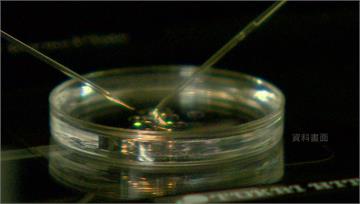 胃癌明年起納公費癌篩 每年逾60萬人受惠