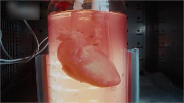 跨世代技術 專家用幹細胞打造「客製化心臟」