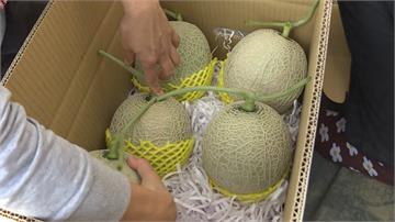 嘉義瓜農研發阿露斯 被譽「洋香瓜界的LV」