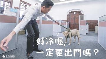 新竹市犬棕棕被爆棄養！ 高虹安：2021年時前市...