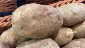 馬鈴薯輸入標準不變 行政院：龍葵鹼超標就整批退運或銷毀