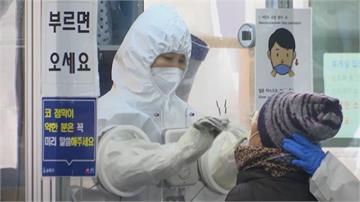 南韓研發PCR試劑「可篩出5種病毒」 最快4hr...