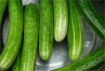 小技巧讓黃瓜沙拉更入味！冷凍黃瓜拌菜簡單又清爽