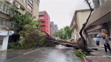 北市8年來最嚴重災損！市民灌爆蔣萬安臉書：騎車上班像障礙賽