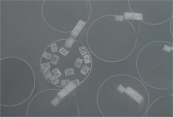 適齡生育最安心！35歲後懷孕風險升高 凍卵也無法...