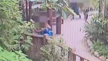 男子闖動物園「用汗水偷蝴蝶」當禮物 涉竊盜被訴