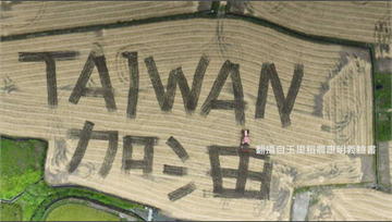 水稻達人耕出「TAIWAN加油」 空拍機縮時攝影...