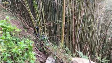 桃園女敗血症就醫「體內殘留胎盤」 認棄嬰丟山區