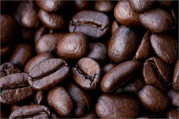 芬蘭推「人造咖啡」　科學家： 令人驚豔的濃郁香氣