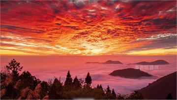 颱風天阿里山「火燒雲」橘光罩頂！小犬強襲山區被封...
