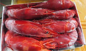 法國地中海紅蝦檢出重金屬「甲基汞」超標 醫師：影...