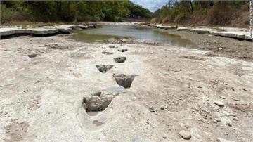 德州嚴重乾旱 意外發現1.13億年前恐龍足跡 