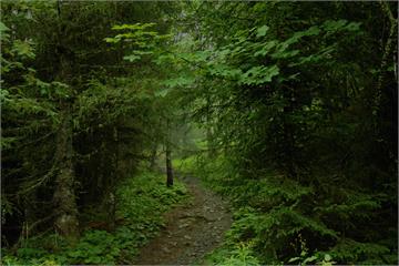 日11歲男童失蹤命案 繼父坦承犯案「人是我殺害」