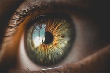全球首例3D列印「義眼」移植 量身打造更擬真