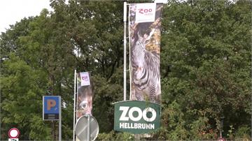 奧地利動物園犀牛闖禍 衝撞管理員釀1死1傷