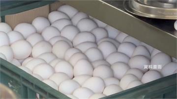 農業部新制！連鎖餐飲、早餐店7月起「限用洗選蛋」...